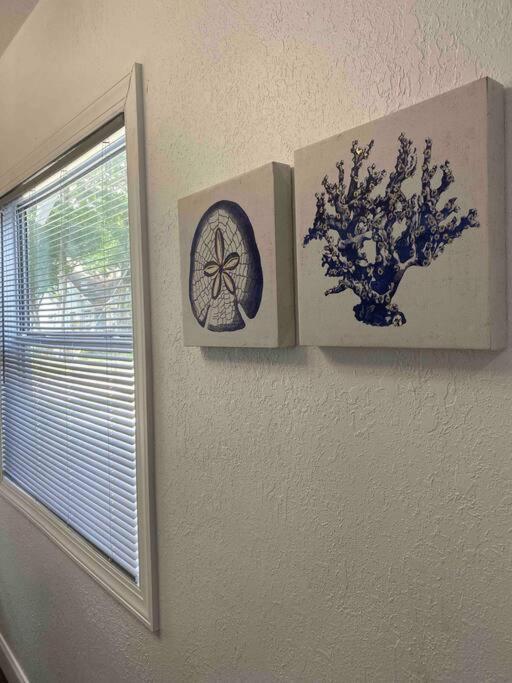 Contemporary 1-Bedroom Private Bungalow Walk To Armature & Riverwalk Tampa Exterior foto